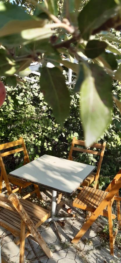 Guesthouse Kishimzhan Talas ภายนอก รูปภาพ